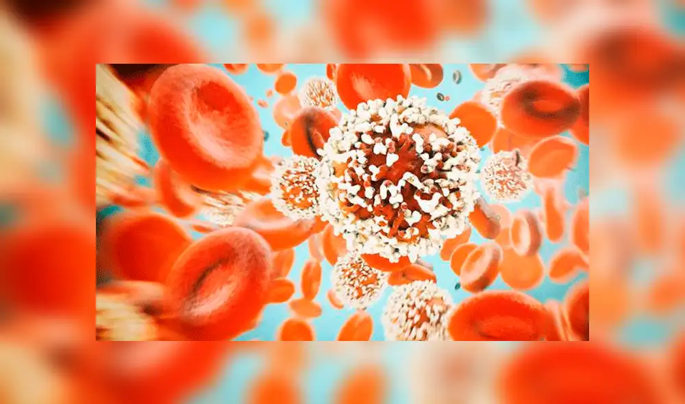 Edith González: ¿Cuáles son los síntomas del cáncer de ovario? 