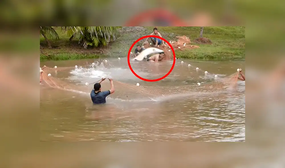 YouTube viral: Entran a pescar y quedan en shock al ver extrañas criaturas en su red [VIDEO]