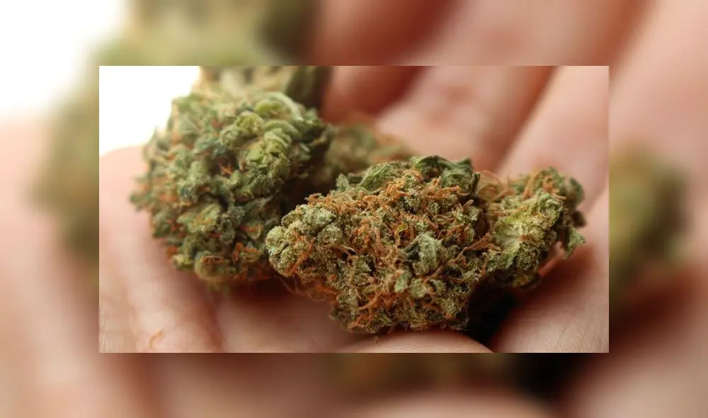 Muchos estudios indicaron que la marihuana tiene ciertos beneficios. (Fuente: Pixabay)