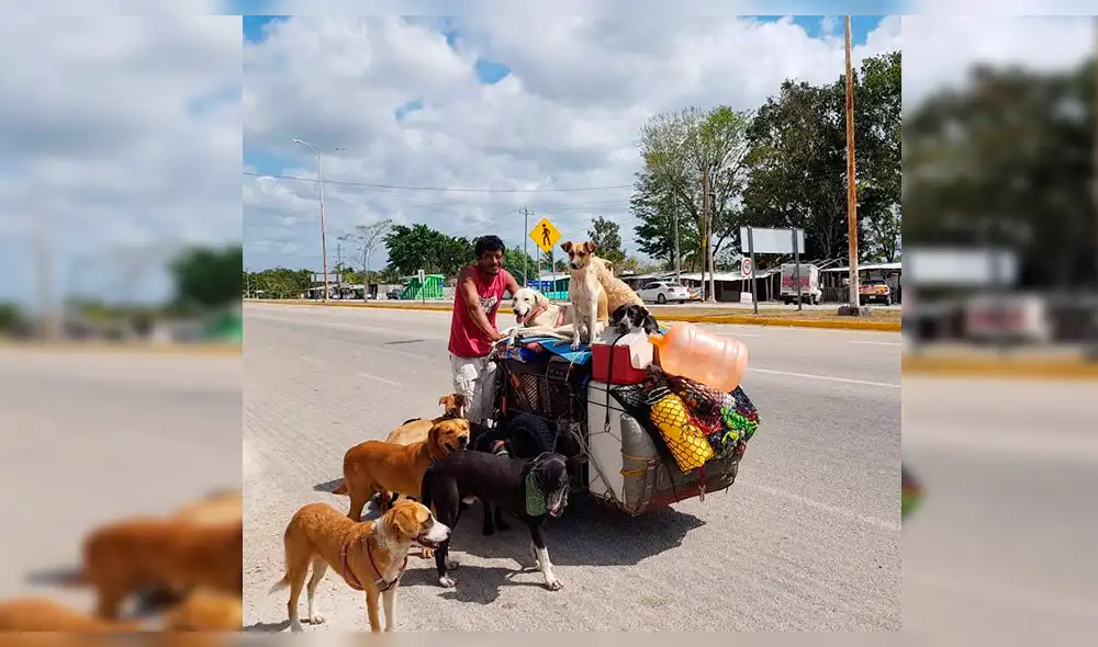 Facebook Viral: Hombre viaja por todo México curando a perros callejeros [VIDEO]