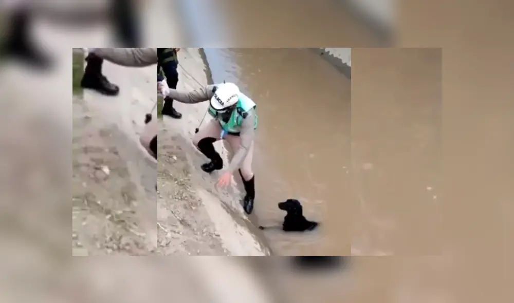 Desliza hacia la izquierda para ver más del video viral.