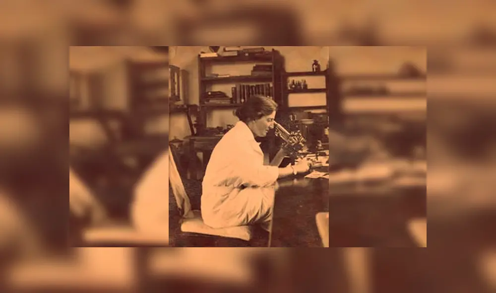 ¿Quién es Lucy Wills, la protagoniosta del doodle de Google de hoy?