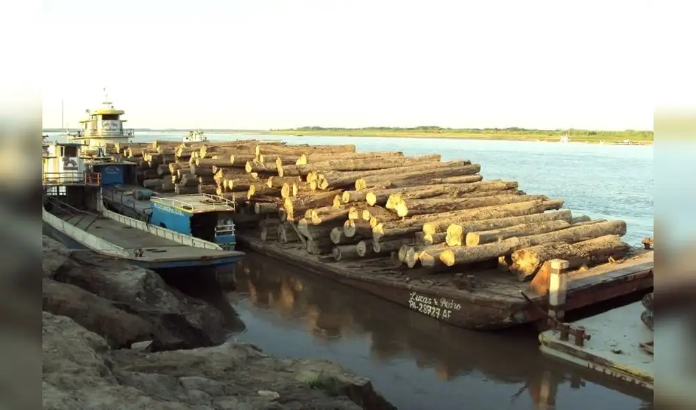 Forestal: Minagri exigirá desde el 2020 uso de nuevo formato de operaciones a madereros Forestal: Minagri exigirá desde el 2020 uso de nuevo formato de operaciones a madereros