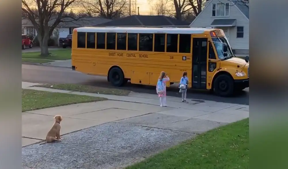 Desliza hacia la izquierda para ver más imágenes sobre esta conmovedora escena que es viral en redes sociales. Foto: captura de Facebook Desliza hacia la izquierda para ver más imágenes sobre esta conmovedora escena que es viral en redes sociales. Foto: captura de Facebook
