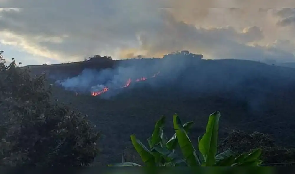Incendios forestales en Cusco, destrozaron cerca de 100 hectáreas de cultivos, pastos y árboles.