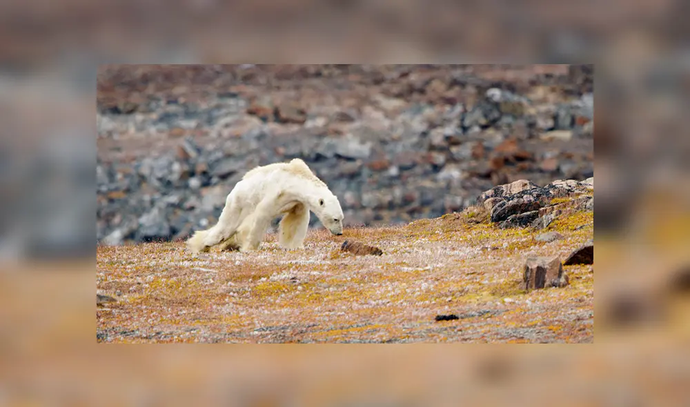 Casa Blanca bloqueó informe estatal sobre "catastróficos" efectos de cambio climático Casa Blanca bloqueó informe estatal sobre "catastróficos" efectos de cambio climático