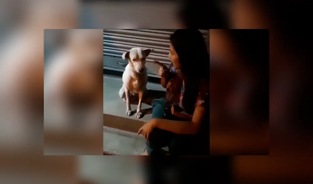 Desliza las imágenes para apreciar el amoroso comportamiento de un perro tras recibir unas caricias.