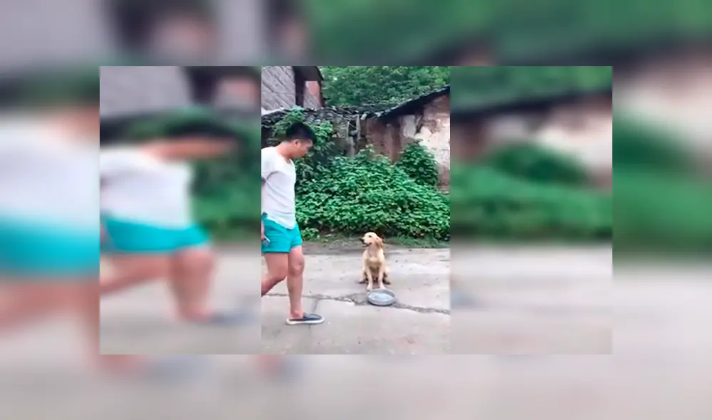 En Facebook, un perro sostenía su plato de comida para pedir comida a las personas en la calle y recibió conmovedora ayuda.