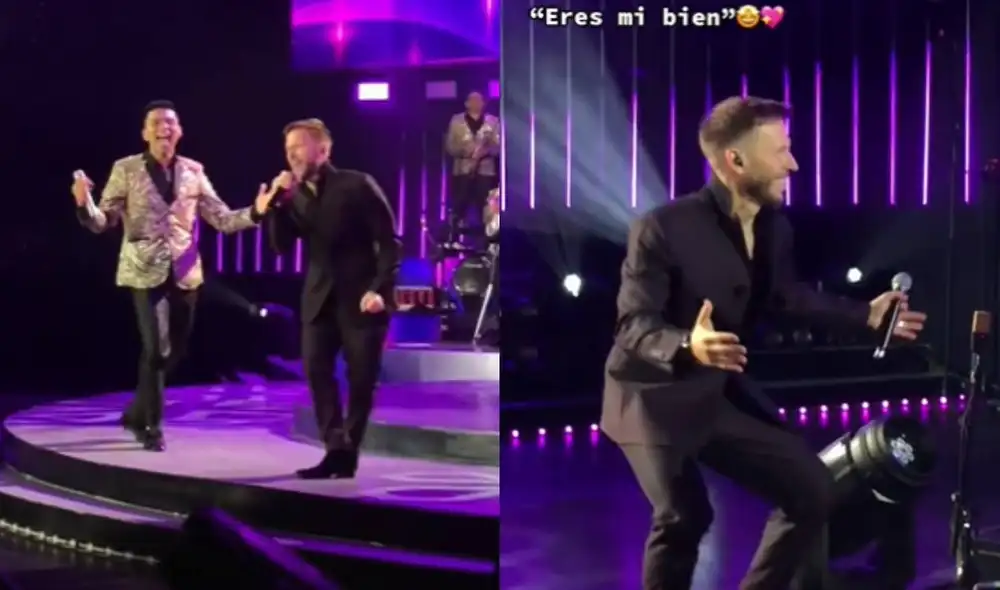 Noel Schajris se presentó en el concierto de "Noche de oro" del Grupo 5. Foto: composición/ anapaula_ag/ Tiktok