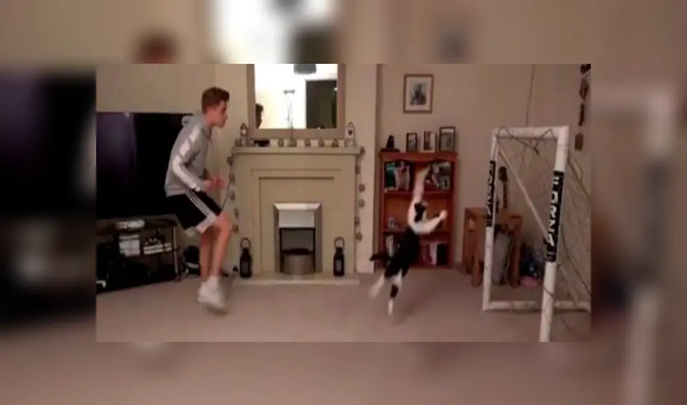 Desliza para ver los detalles del video viral publicado en TikTok. Foto: Captura. Desliza para ver los detalles del video viral publicado en TikTok. Foto: Captura.