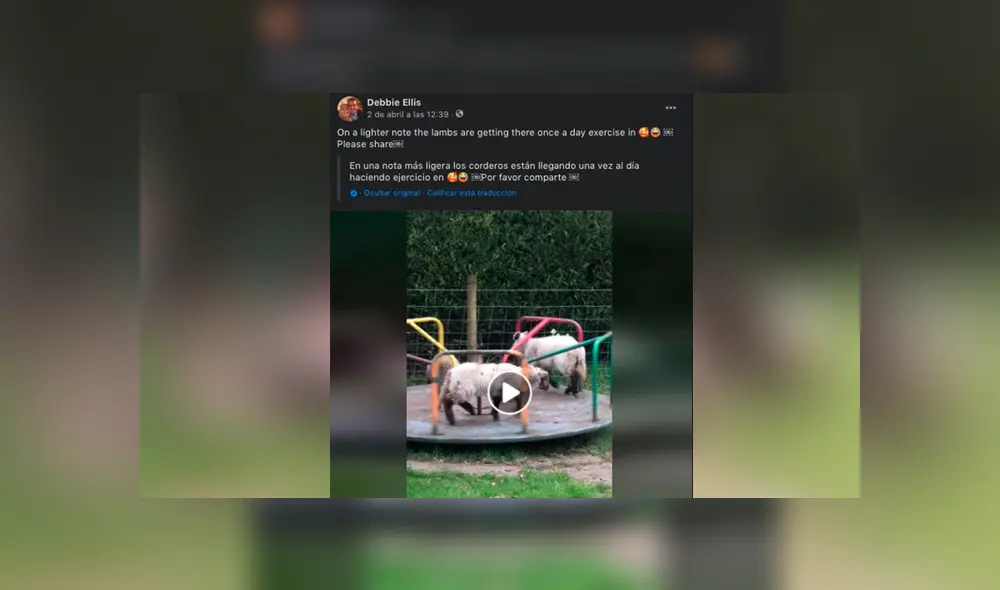 Desliza hacia la izquierda para verlas imágenes del viral de Facebook.