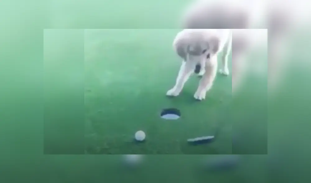 Desliza las imágenes para ver más detalles sobre esta escena que ha hecho reír a muchos en Facebook. Desliza las imágenes para ver más detalles sobre esta escena que ha hecho reír a muchos en Facebook.