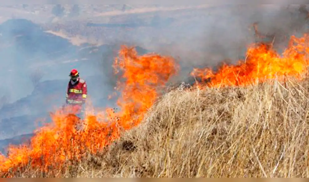 Junín: piden que SERFOR intervenga en casos de quema en pastizales