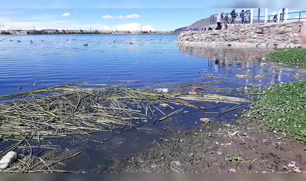 Puneños se resignan a contaminación del lago Titicaca y ríos [FOTOS]