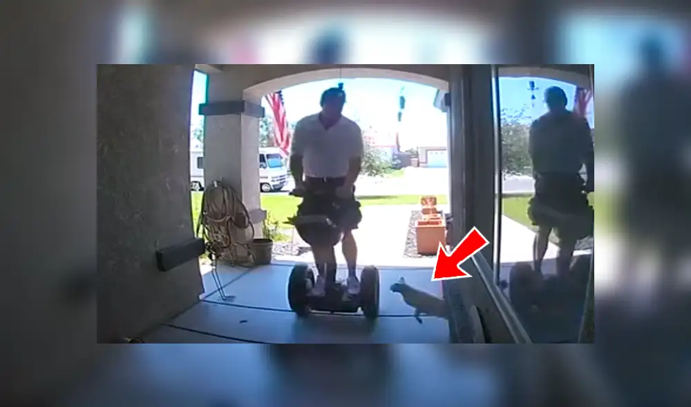 En YouTube, unas cámaras de seguridad grabaron cuando repartidor iba dejar un paquete en una casa y fue sorprendido por un gato que saltó encima de él. En YouTube, unas cámaras de seguridad grabaron cuando repartidor iba dejar un paquete en una casa y fue sorprendido por un gato que saltó encima de él.