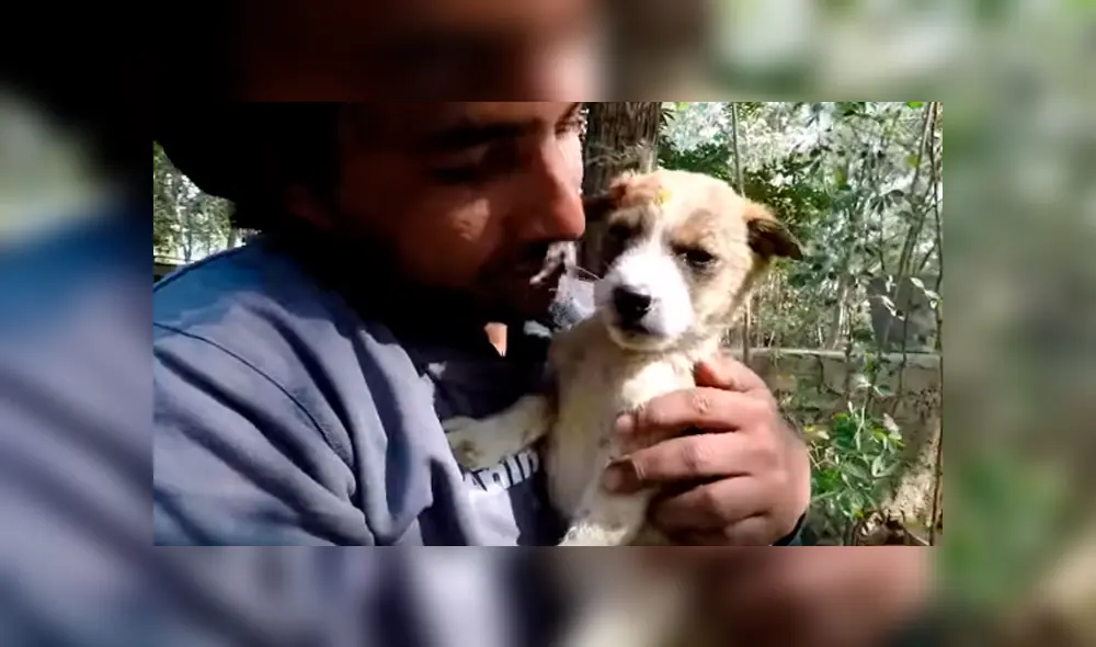 Desliza hacia la izquierda para ver el conmovedor hallazgo del perro que se hizo viral en YouTube. Desliza hacia la izquierda para ver el conmovedor hallazgo del perro que se hizo viral en YouTube.