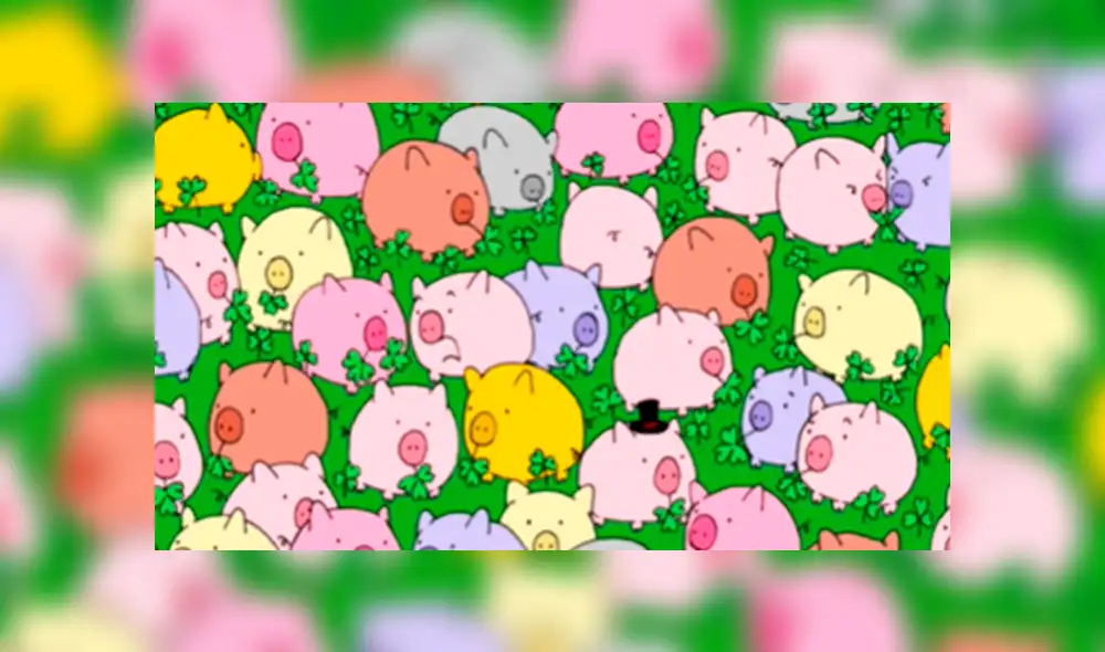 Facebook viral: encuentra al trébol de cuatro hojas entre los cerditos, el reto visual que muy pocos pueden resolver Facebook viral: encuentra al trébol de cuatro hojas entre los cerditos, el reto visual que muy pocos pueden resolver