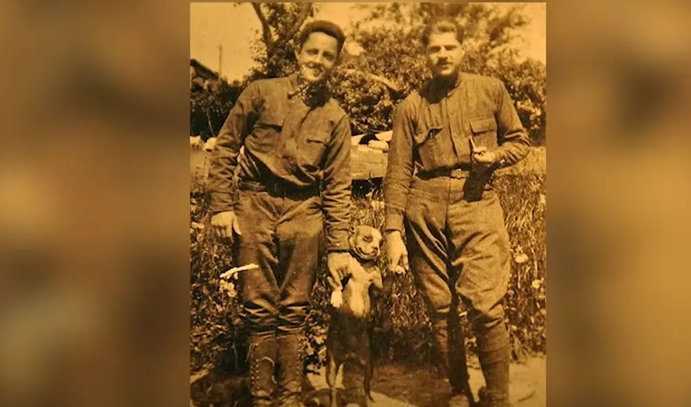 Stubby es el perro de guerra más condecorado en la historia. Foto: Captura/YouTube/Experto Animal Stubby es el perro de guerra más condecorado en la historia. Foto: Captura/YouTube/Experto Animal