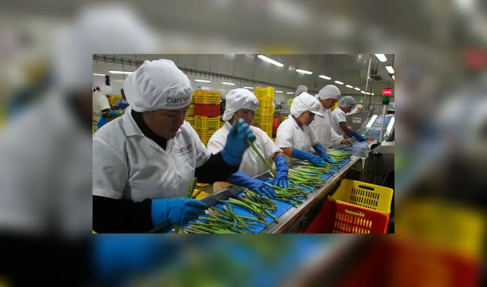 Agroexportaciones superaron los 1.650 millones de dólares en el primer trimestre de este año Agroexportaciones superaron los 1.650 millones de dólares en el primer trimestre de este año