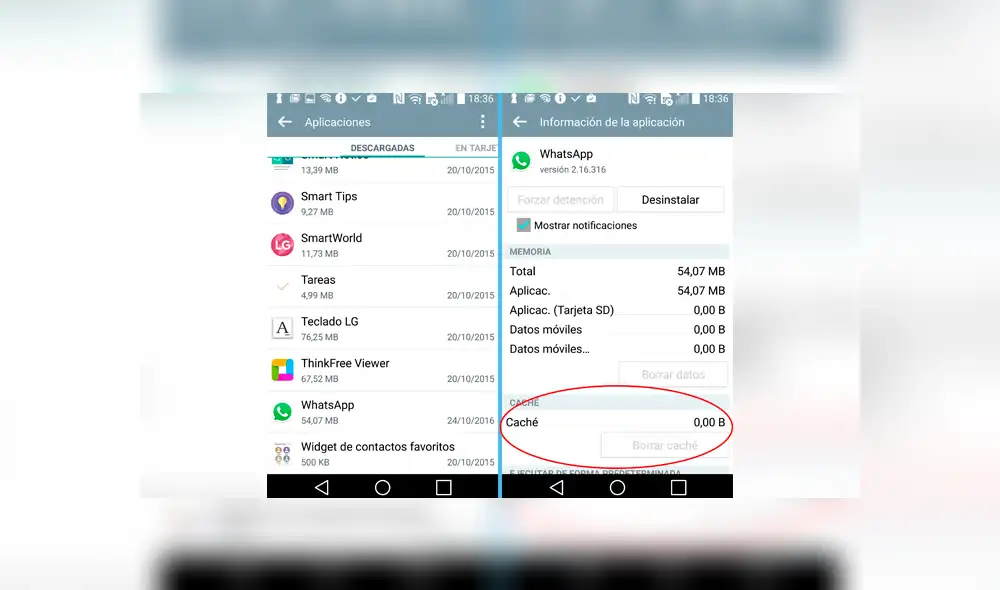 Conoce cómo borrar la caché de la app en unos cuantos pasos.