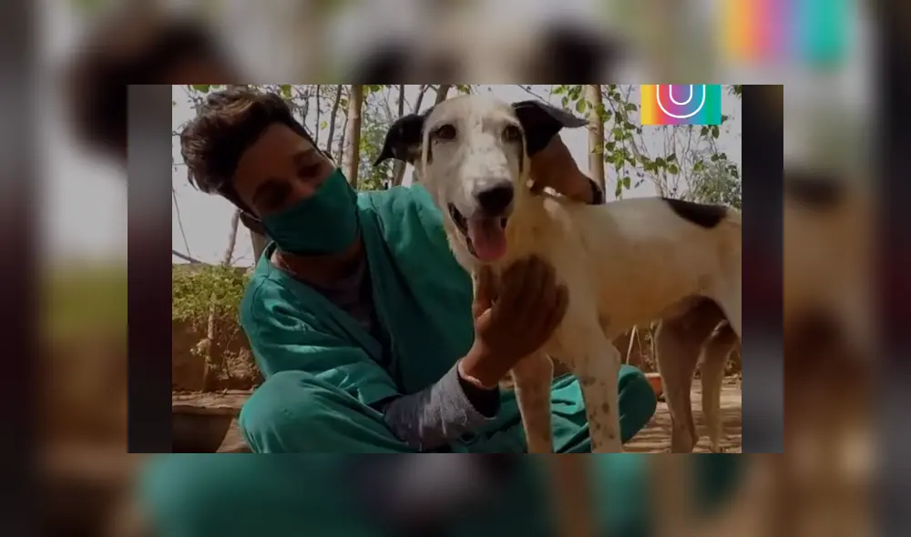 Desliza hacia la izquierda para ver las conmovedoras escenas del viral de Facebook. Foto: Upsocl.