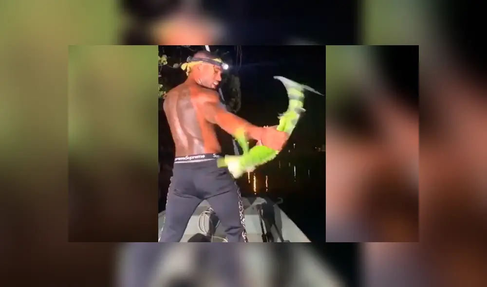 Una misteriosa criatura que estaba en un árbol se abalanzó contra un hombre.