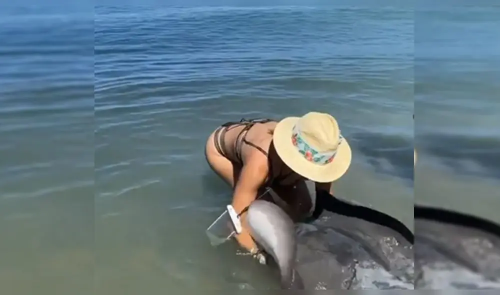 Rosángela Espinoza sufre peligroso momento al cargar una mantarraya [VIDEO]