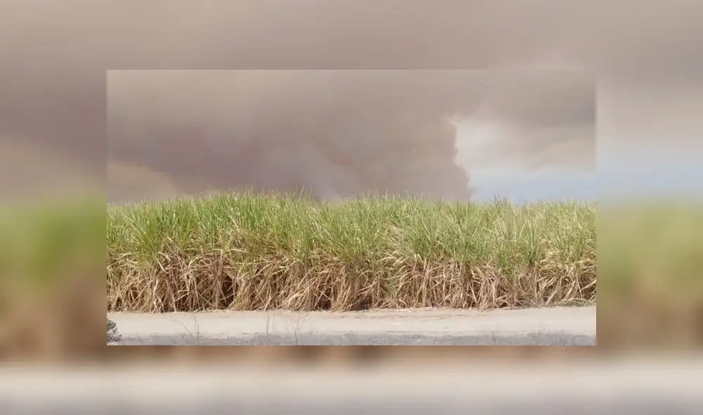 Quema de caña provaca contaminación. Quema de caña provaca contaminación.