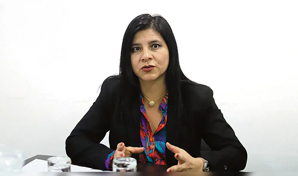 Proyecto Olmos Proyecto Olmos