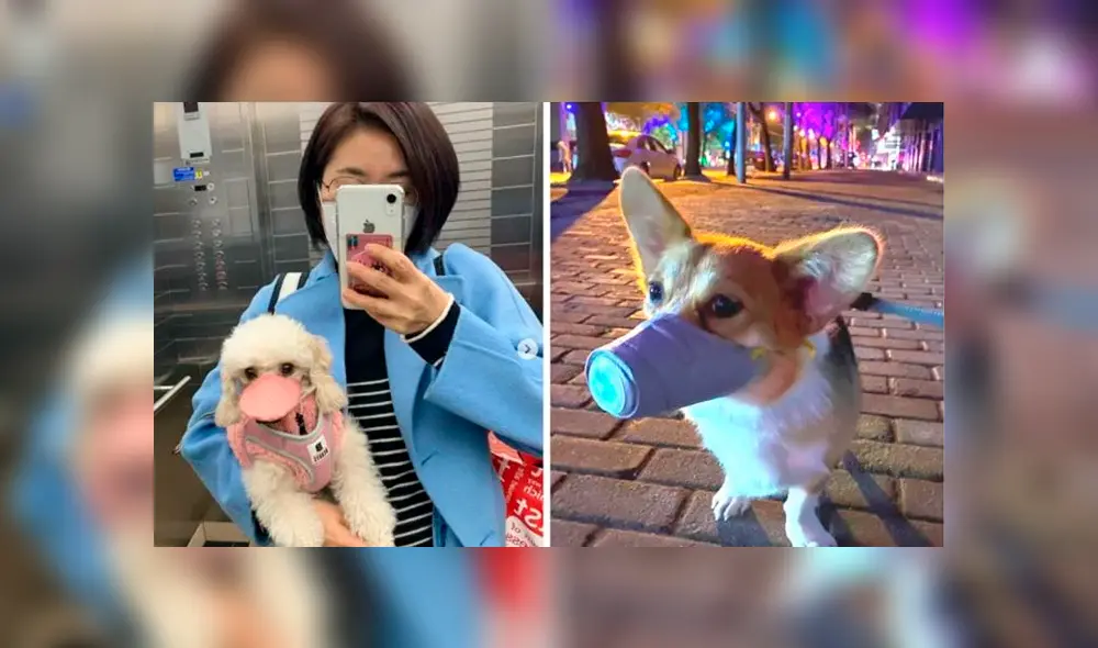 Desliza a la izquierda para ver el viral de Facebook. Desliza a la izquierda para ver el viral de Facebook.