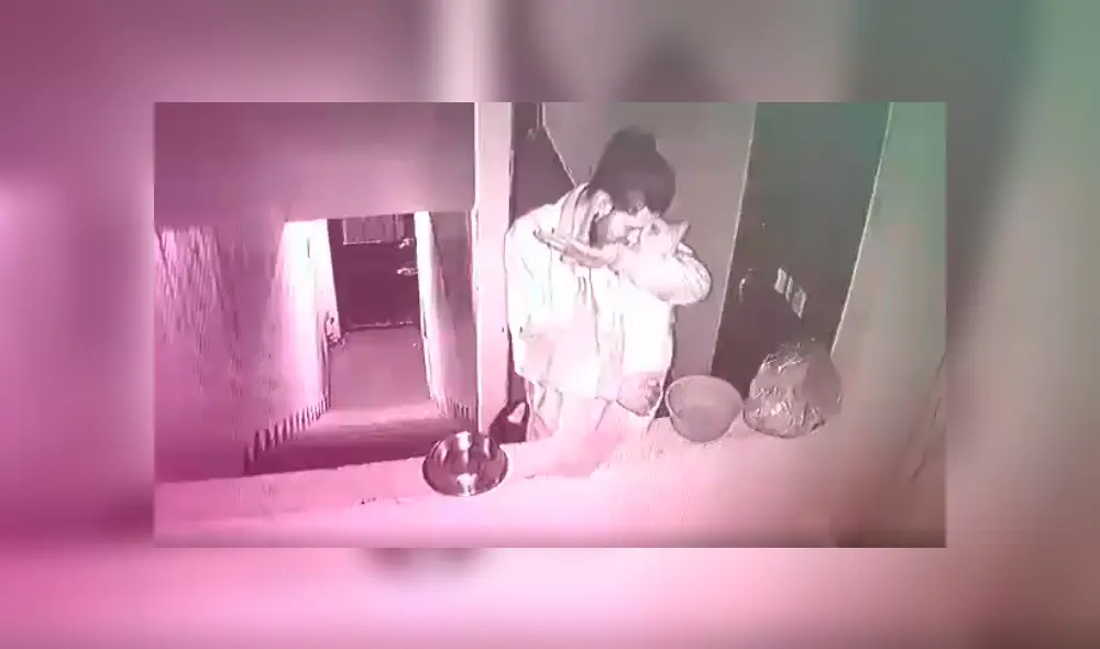 Desliza a la izquierda para ver más sobre el nuevo viral de YouTube. Foto: Captura.