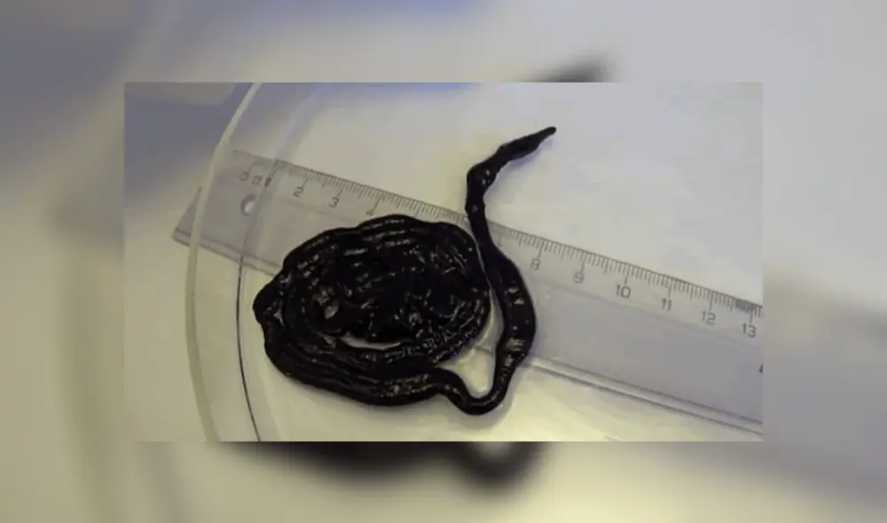 Desliza para ver los detalles de la extraña criatura del video viral de YouTube. Foto: Captura