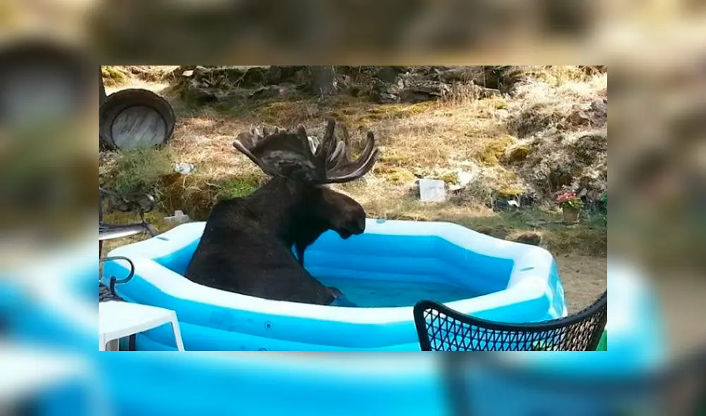 Desliza la imagen de Facebook para ver todas las fotos. Desliza la imagen de Facebook para ver todas las fotos.