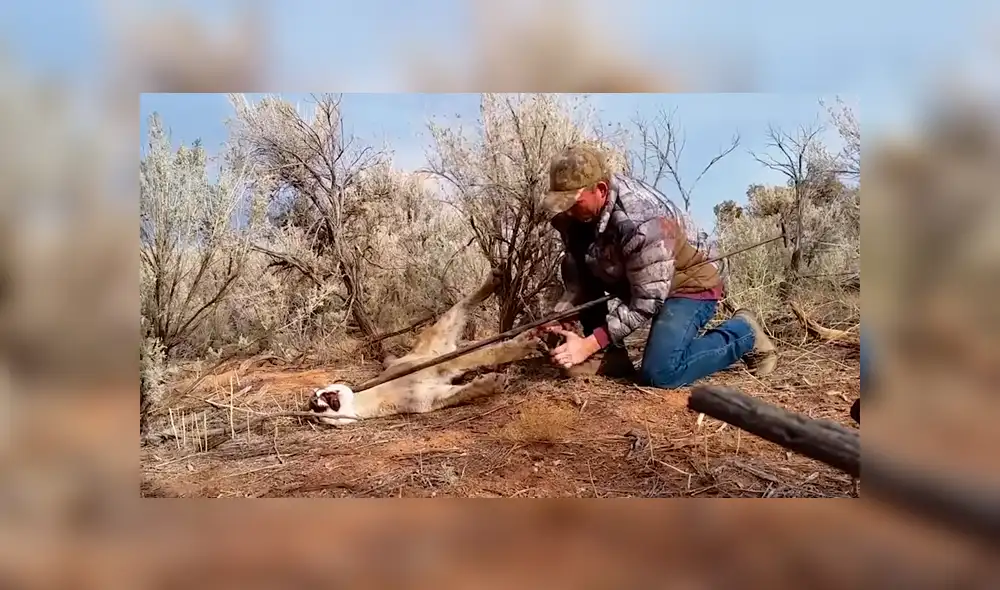 Desliza para ver los momentos más impactantes del video que se hizo viral en YouTube. Desliza para ver los momentos más impactantes del video que se hizo viral en YouTube.