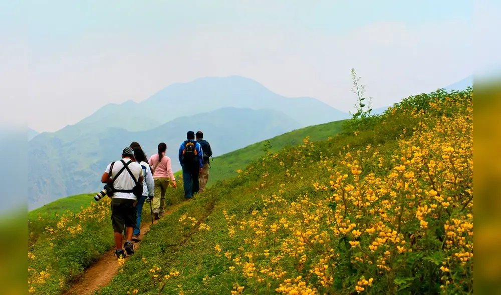 RUTA TURISITICA DE LAS LOMAS DE LUCUMO EN PACHACAMAC
PUBLICADO 01-10-11 REPUBLICA
RUTA TURISITICA DE LAS LOMAS DE LUCUMO EN PACHACAMAC
PUBLICADO 01-10-11 REPUBLICA