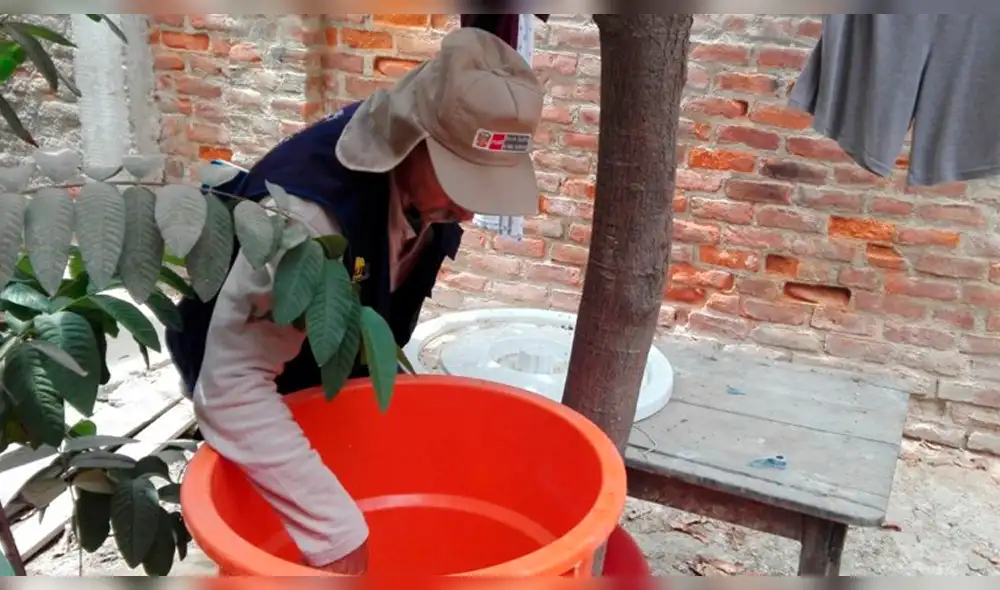 Lambayeque: reportan 23 casos de dengue en la región