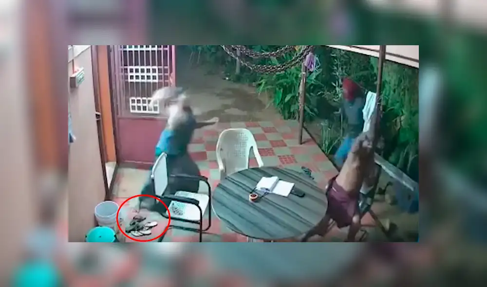 India: valiente pareja ahuyenta con sandalias a ladrones armados con machetes [VIDEO]
