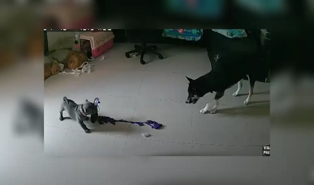 Desliza hacia la izquierda para ver las imágenes del viral de Facebook.