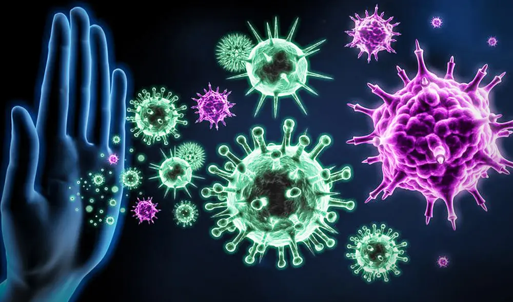 COVID-19 - inmunidad - sistema inmunitario - coronavirus. Foto: Composición LR COVID-19 - inmunidad - sistema inmunitario - coronavirus. Foto: Composición LR