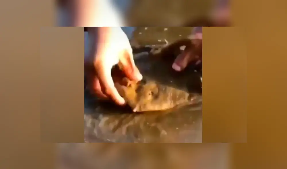 Facebook viral: se topa con misterioso lodo que ‘respira’, se asoma y descubre lo más insólito Facebook viral: se topa con misterioso lodo que ‘respira’, se asoma y descubre lo más insólito