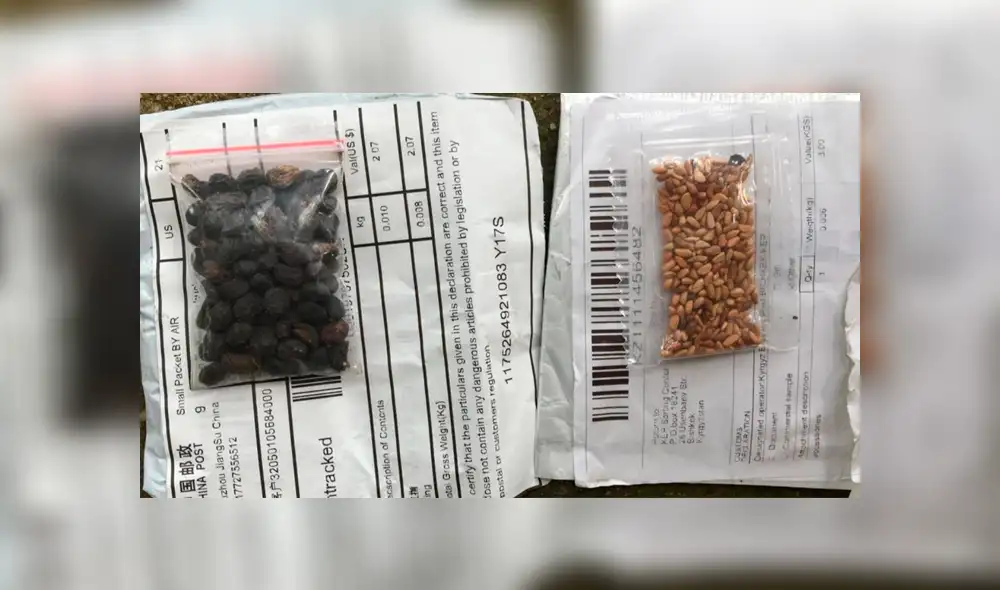 Los expertos analizaron el contenido y resolvieron el extraño misterio. Foto: Departamento de agricultura de EE. UU. Los expertos analizaron el contenido y resolvieron el extraño misterio. Foto: Departamento de agricultura de EE. UU.