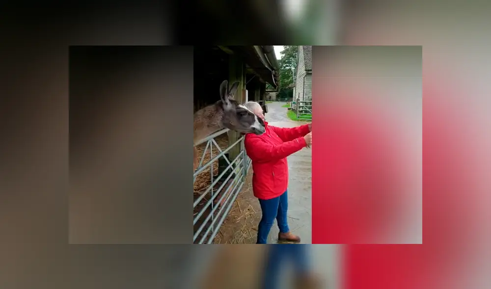 YouTube viral: mujer intenta tomarse ‘selfie’ con llama y esta ‘posa’ para salir bien en la fotografía