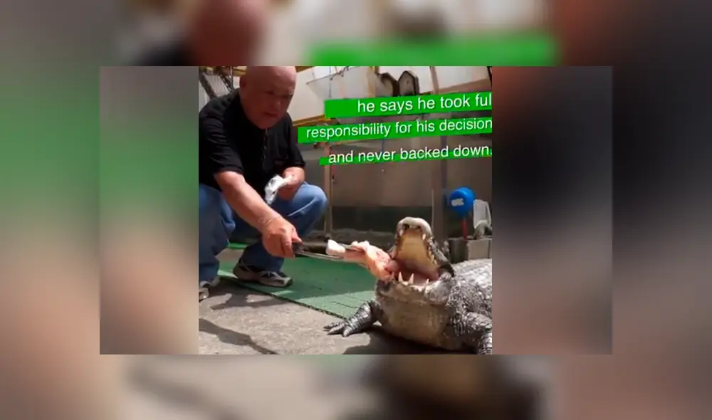 Facebook viral: anciano cuida a cocodrilo como si fuera su hijo y comportamiento de animal sorprende al mundo
