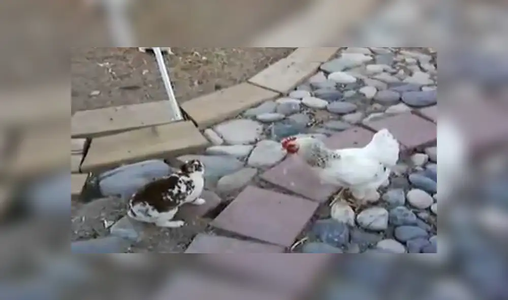 Desliza para ver los detalles del video viral publicado en YouTube. Foto: Captura.