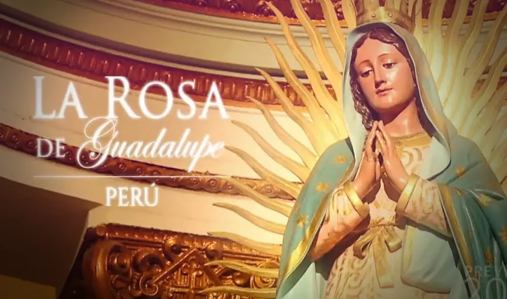 La Rosa de Guadalupe Perú contará con elenco nacional e internacional. La Rosa de Guadalupe Perú contará con elenco nacional e internacional.