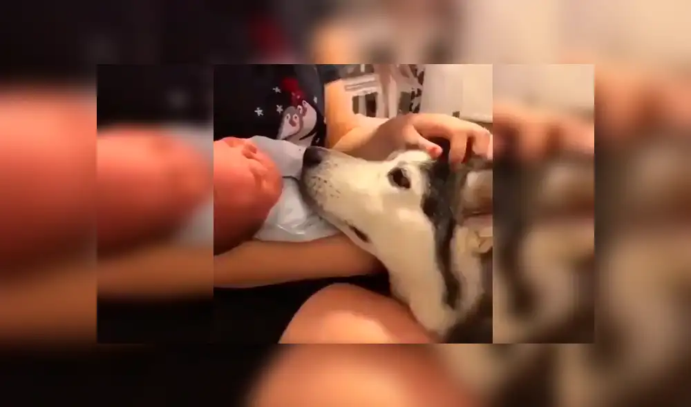 Vía Facebook. Los papás del bebé llamaron a su perro para presentarle al nuevo miembro de la familia y quedaron sorprendidos con la peculiar emotiva conducta del can