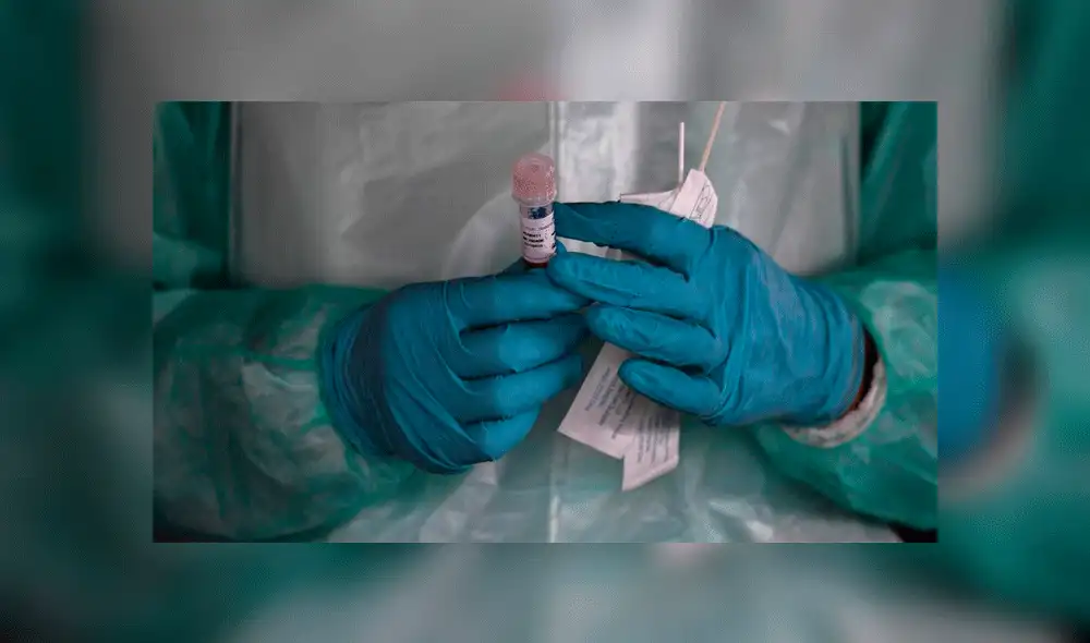 Prototipo de vacuna en España. Prototipo de vacuna en España.