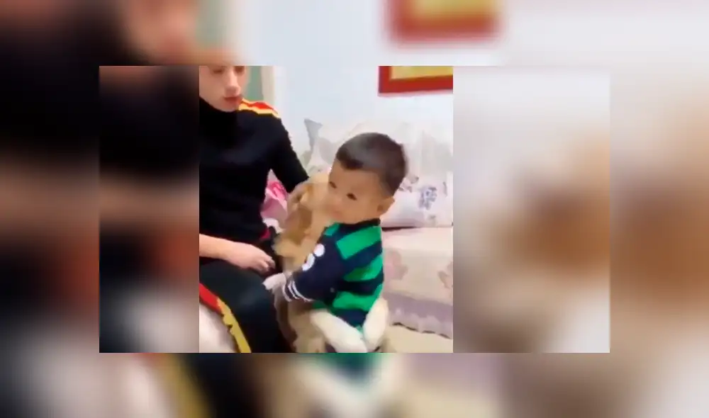 Vía Facebook. El papá simuló golpear a su bebé delante del can, sin imaginar la peculiar intervención que tendría este para proteger al pequeño