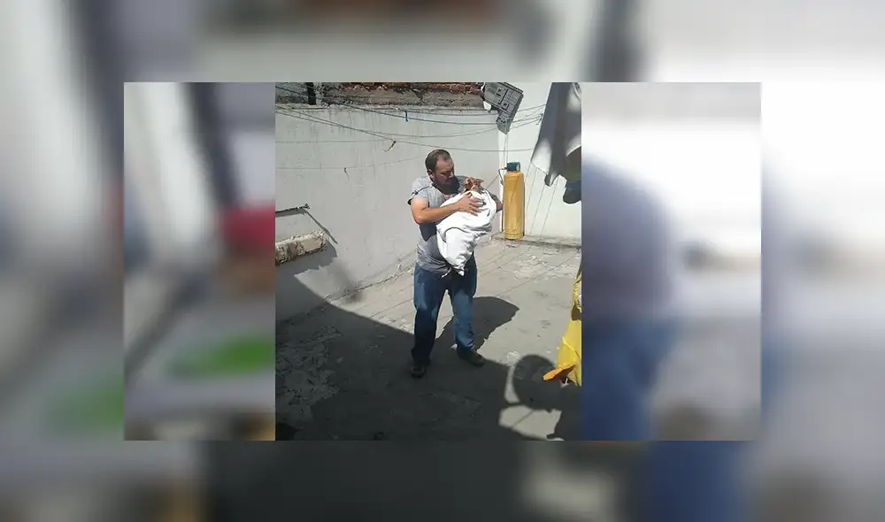 Facebook viral: señor encuentra a gato abandonado, lo lleva a su casa y sucede lo peor [VIDEO]