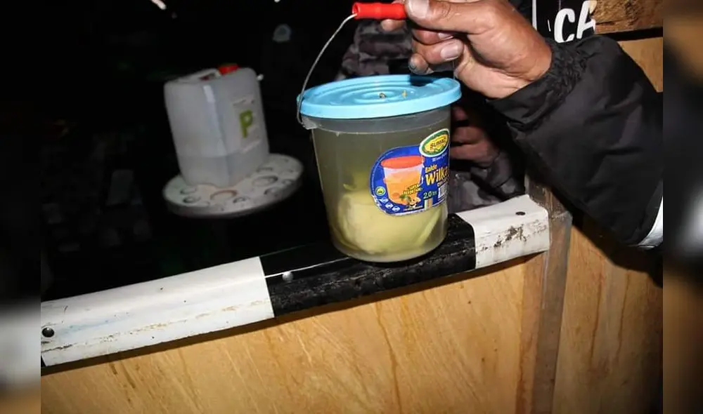 Encontraron curioso amuleto en local nocturno en Puno Encontraron curioso amuleto en local nocturno en Puno